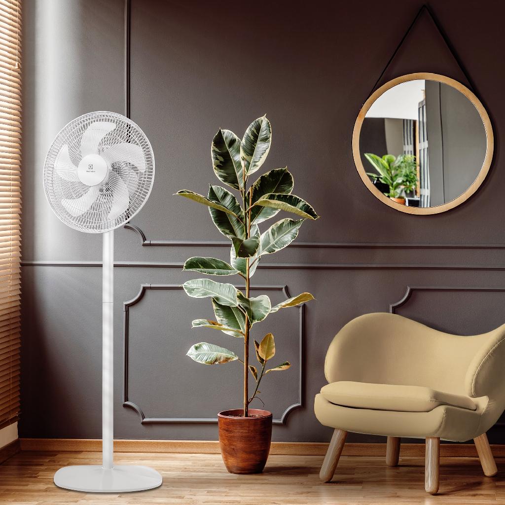картинка Вентилятор напольный Electrolux EFF-1005 от ООО «Строительный крепеж»